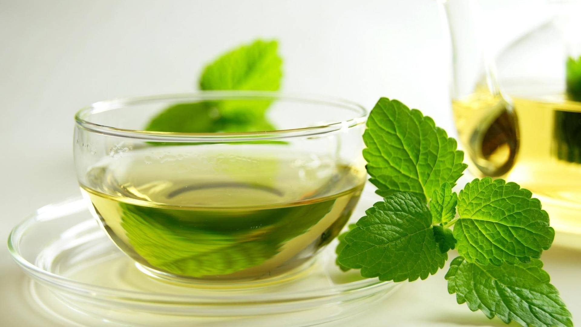 Green Tea: Unveiling the Amazing Health Benefits