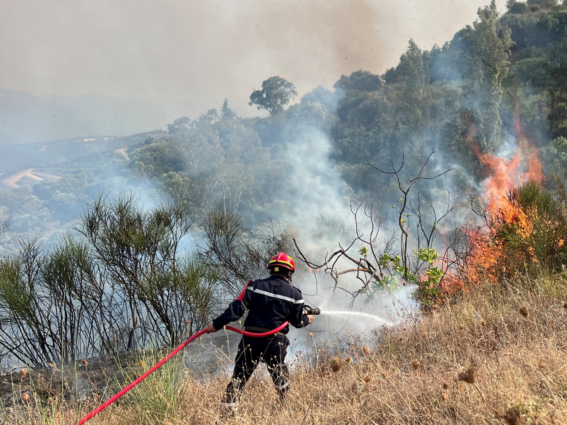 Algeria Battles Forest Fires, Evacuations Underway