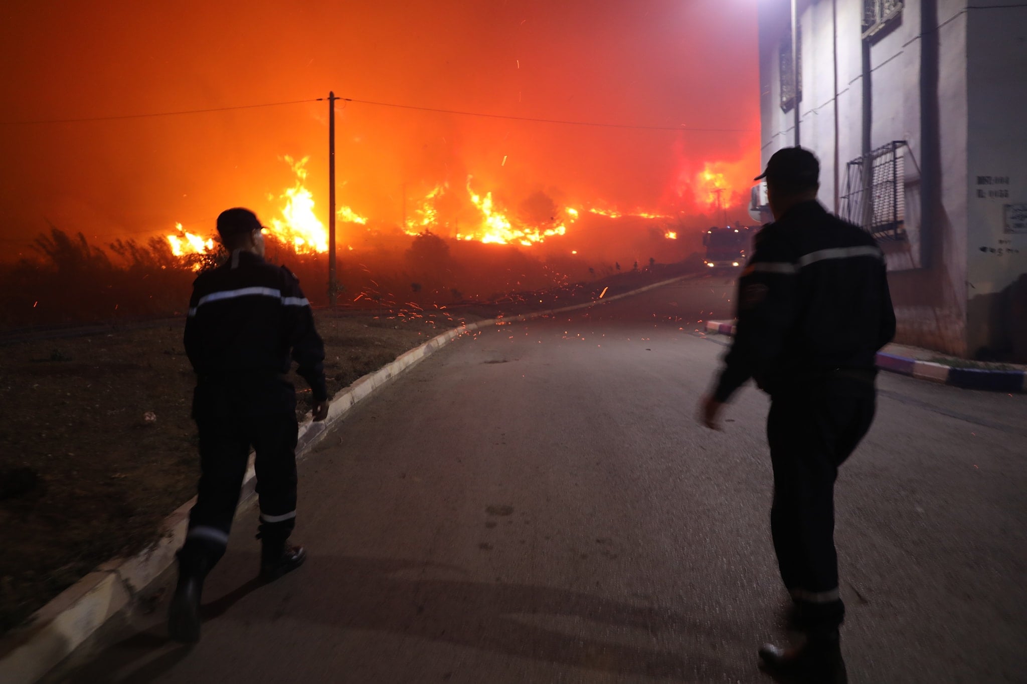Wildfires Sweep Across Algeria, Civil Defense Responds