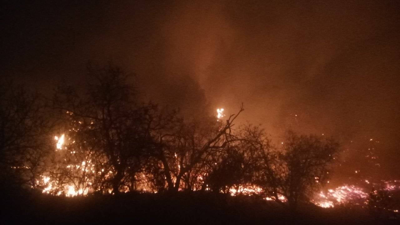 Tipaza Wildfires: Authorities Battle Multiple Blazes