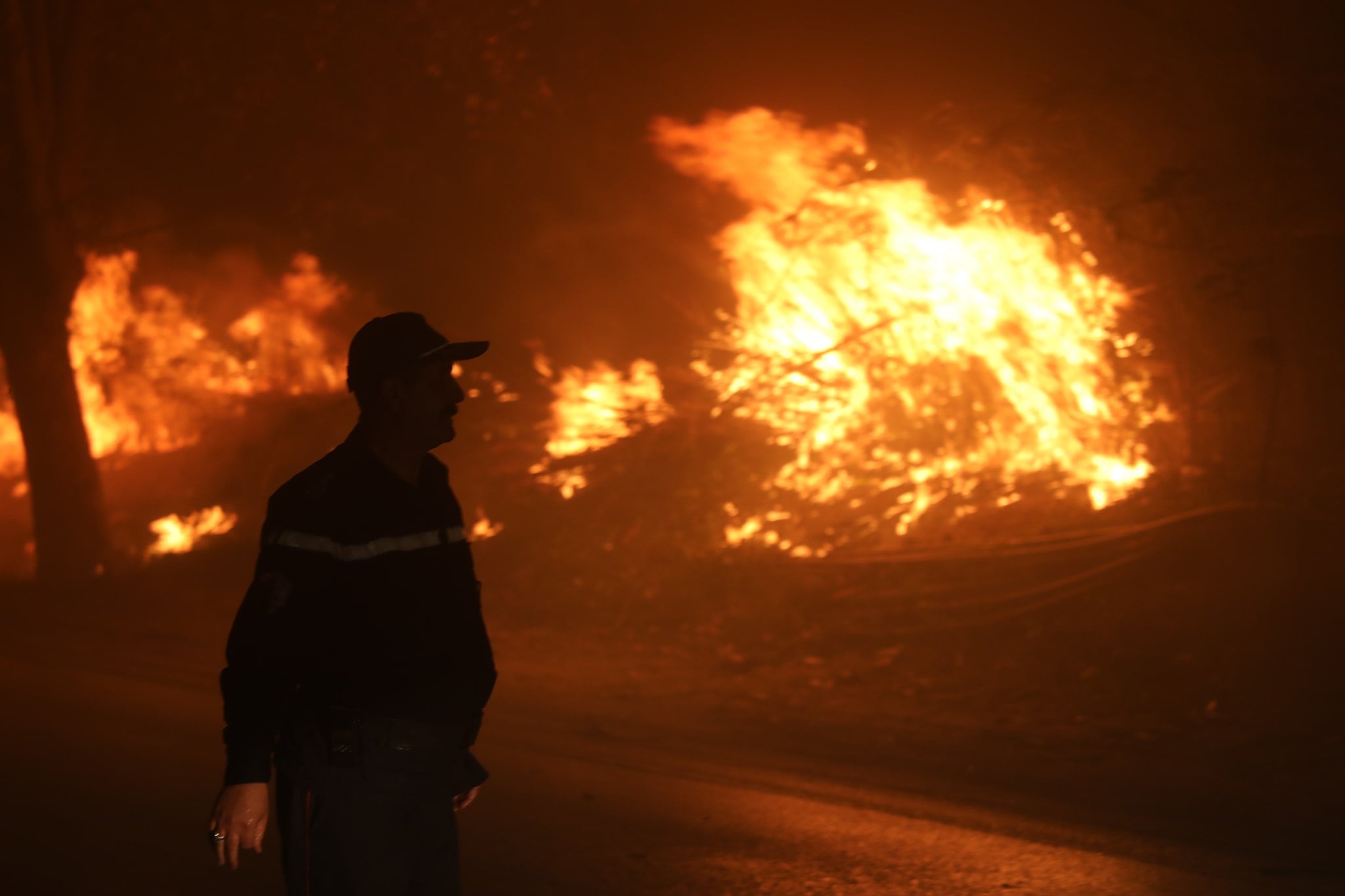 Hundreds of Firefighters Battle Tipaza Forest Fires