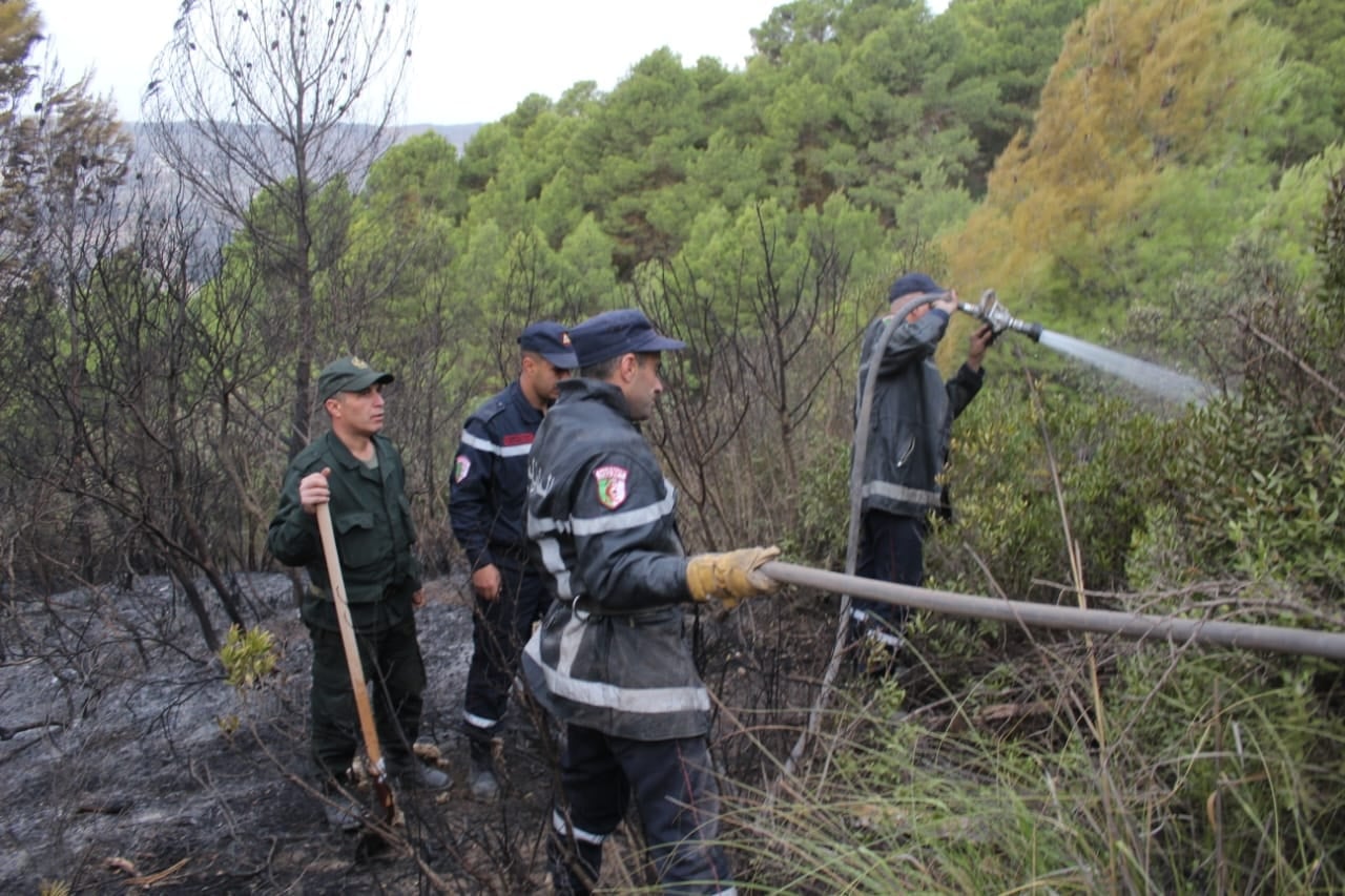State to Compensate Tipaza Fire Victims