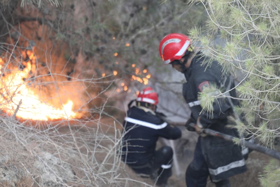 Civil Defense Battles Wildfires Across Multiple Algerian Provinces