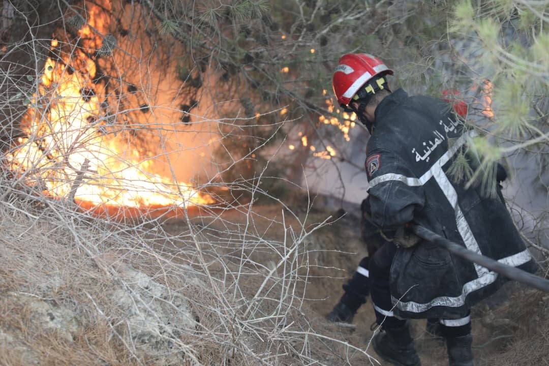 Firefighters Gain Ground Against Tipaza Wildfires