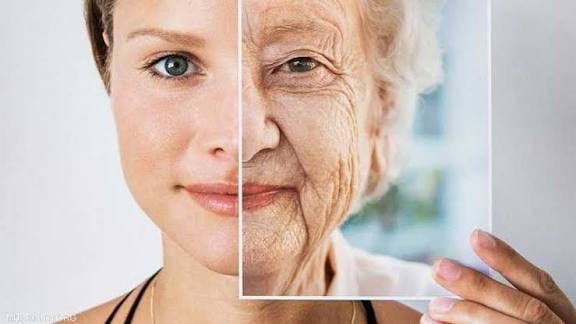 Simple Daily Habits That Extend Life, Slow Aging: Science Reveals
