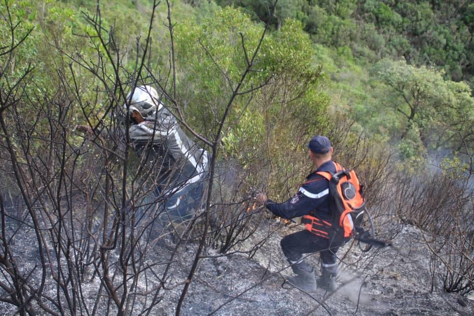 Tipaza Forest Fires Under Control After Intense Blaze