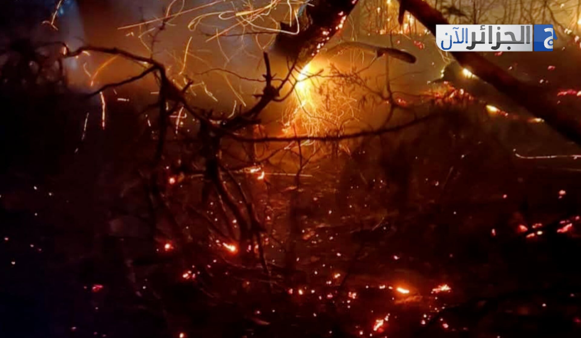 Tipaza Breathes a Sigh of Relief After Wildfires Subdued