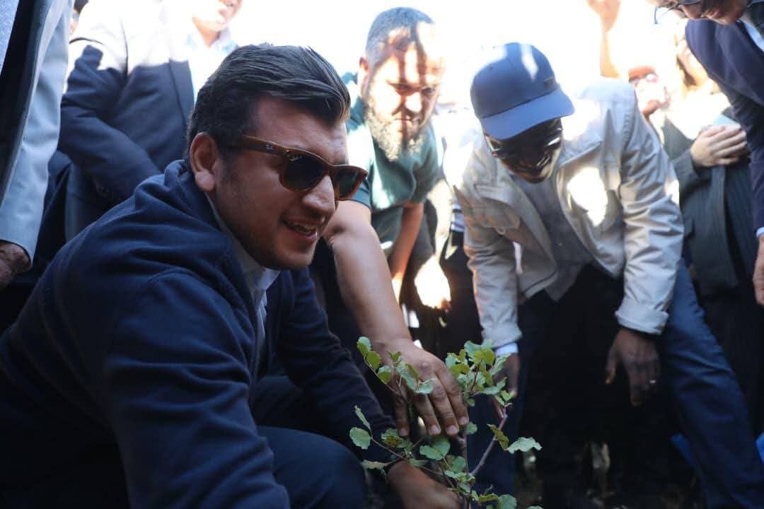 Minister Vows Reforestation After Tipaza Wildfires
