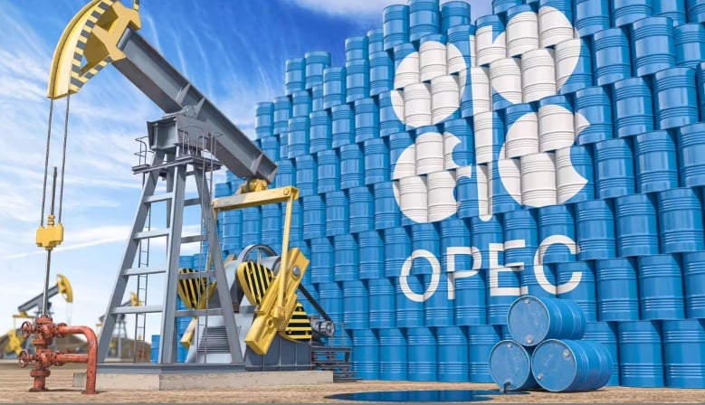 OPEC and Gas Forum Call for Increased Global Energy Investment