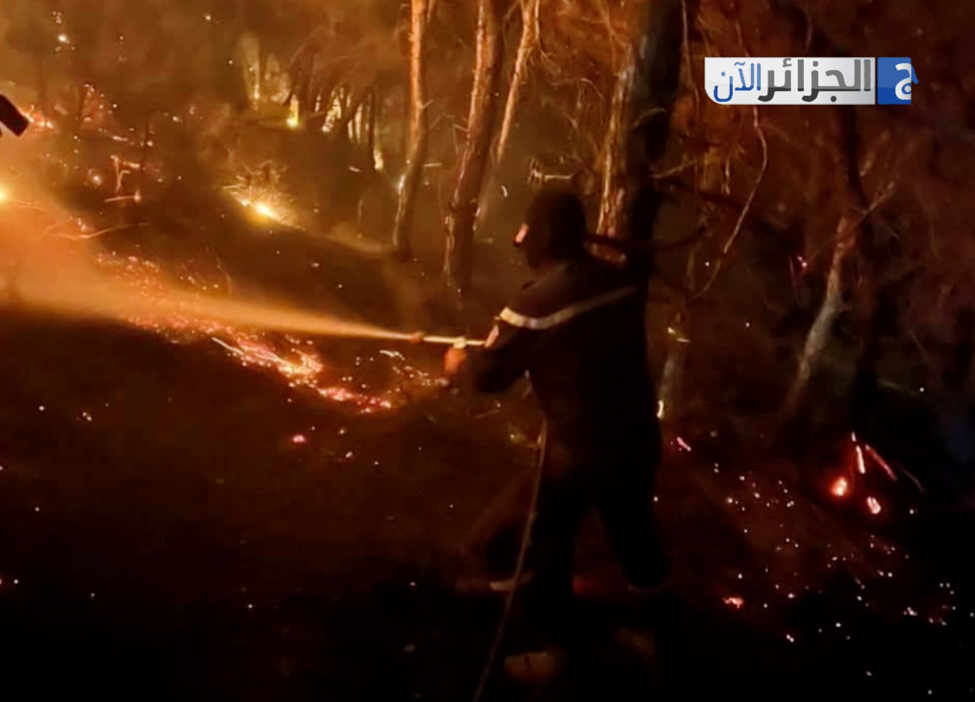 Heroes Battle Flames as Wildfires Threaten Tipaza