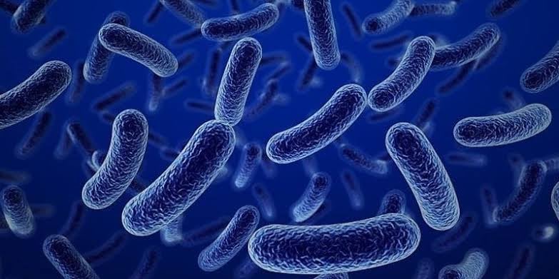 Marburg Virus Outbreak Reported in Ethiopia