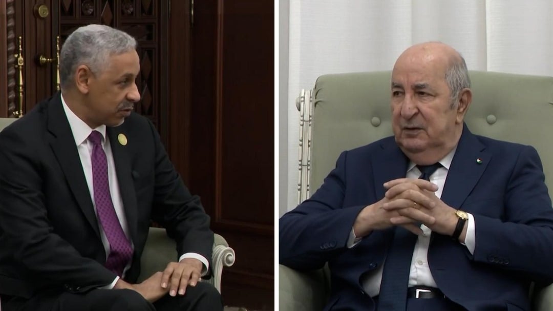 President Tebboune Meets AfDB Chief to Discuss Economic Cooperation