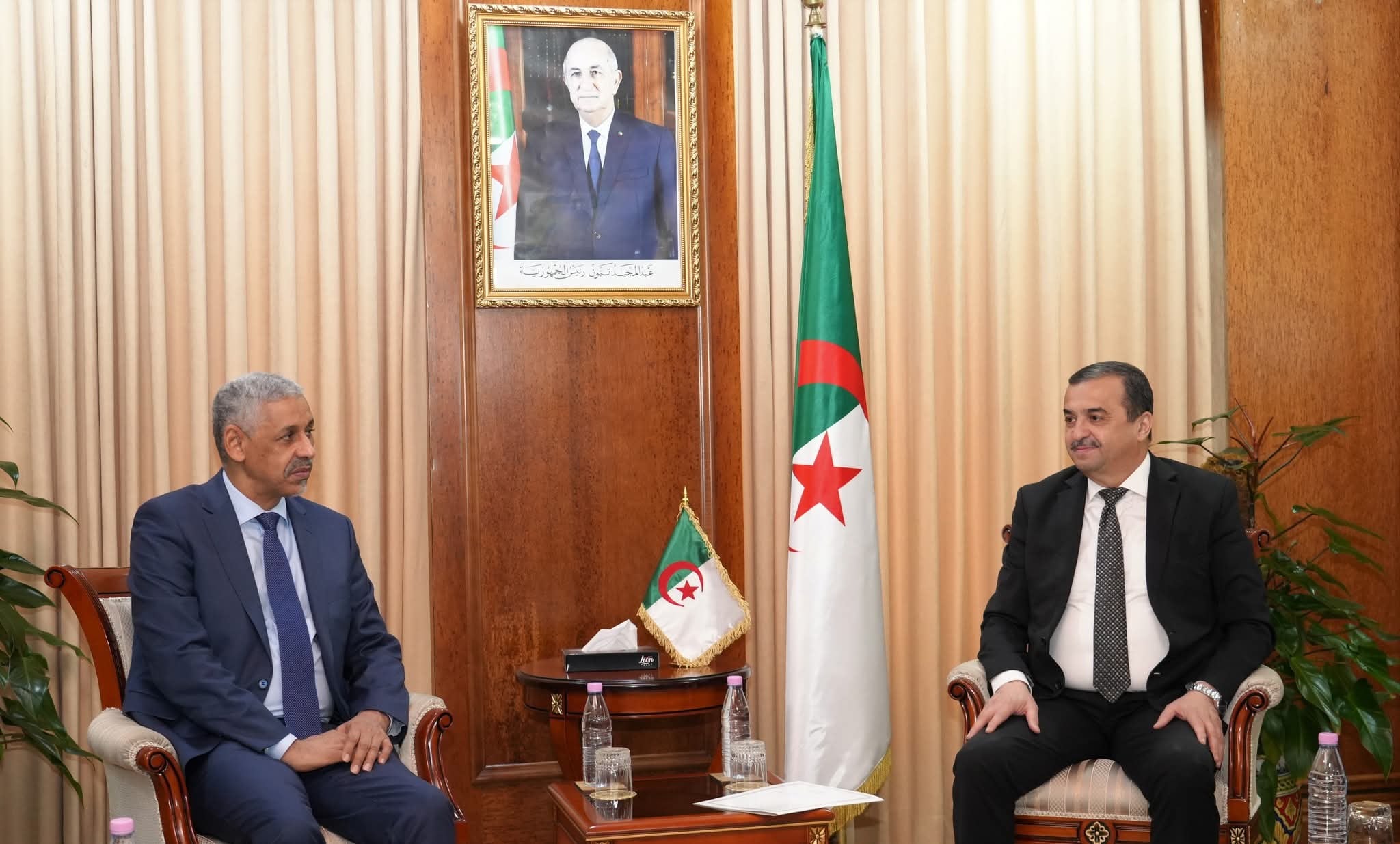 Algeria, African Development Bank Forge Promising Energy Alliance