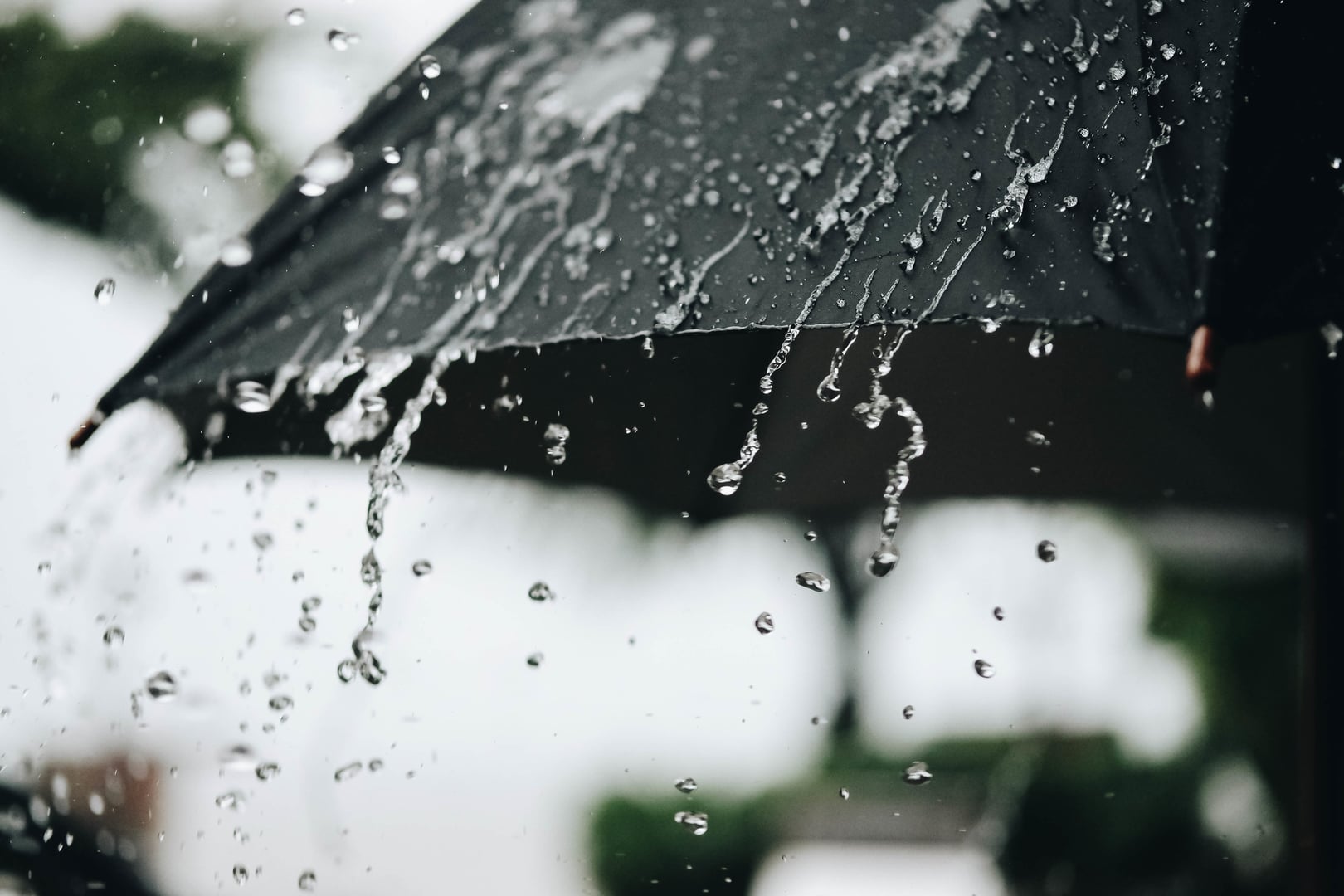 Thunderstorms Expected Across Multiple Algerian Provinces
