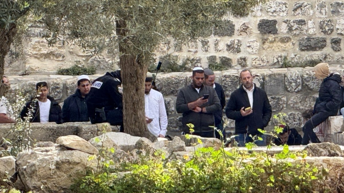 Extremists Attempt to Smuggle Animal Sacrifices into Al-Aqsa