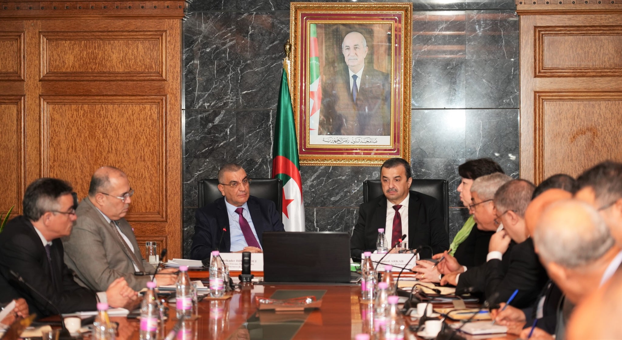 Algeria Expedites Gara Djebilet Iron Ore Project