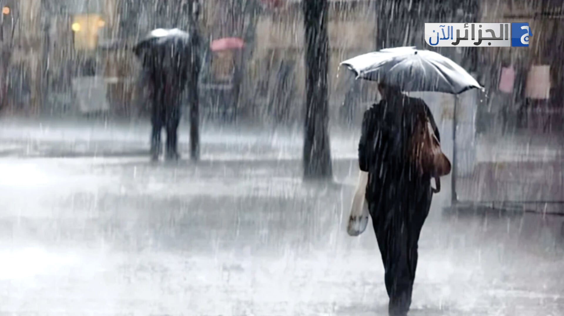 Severe Thunderstorms Forecast for 15 Algerian Provinces