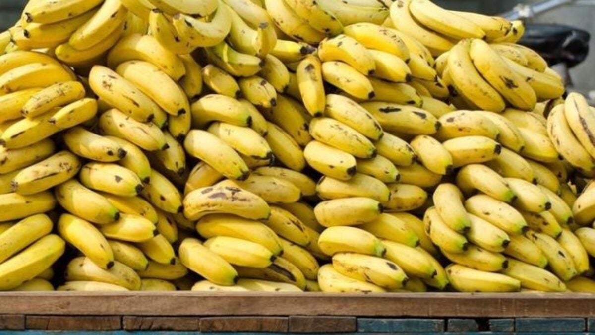 Police Seize Over Half a Ton of Bananas in El Oued