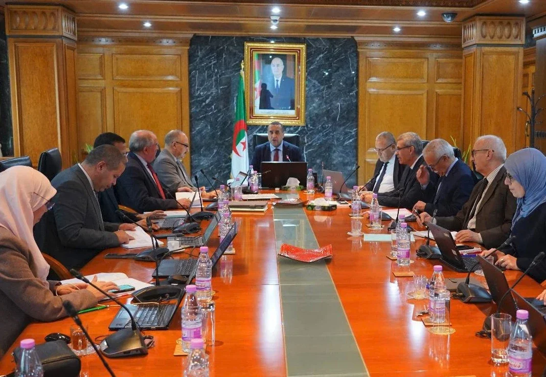 Energy Development in New Algerian Provinces Examined