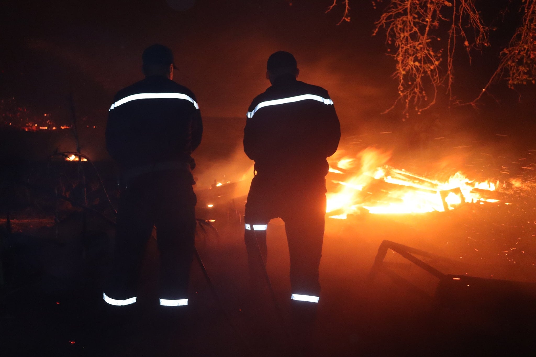 Arrest of Arson Suspects in Tipaza Forest Fires