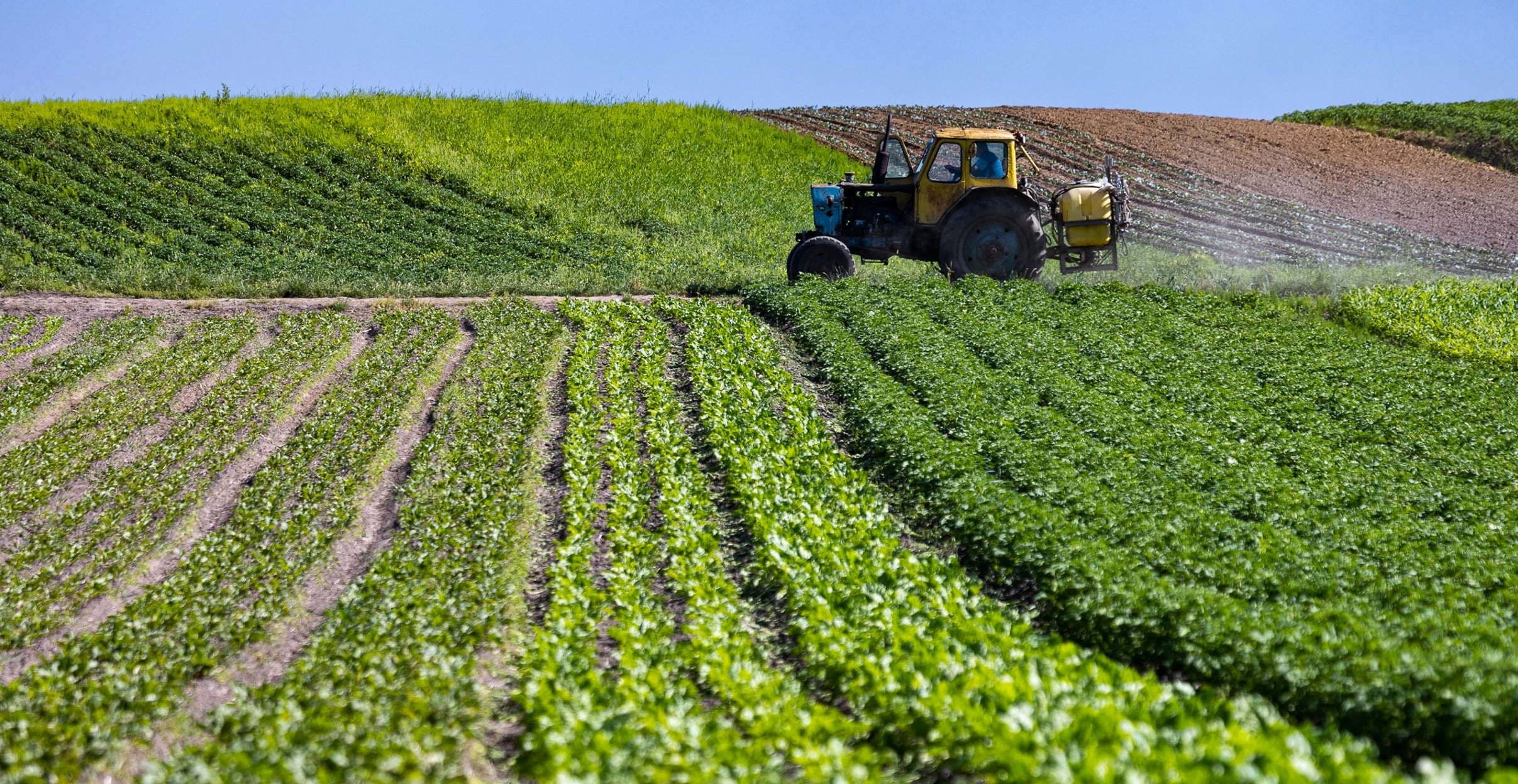 Agricultural Land Regularization Nears Completion: Minister