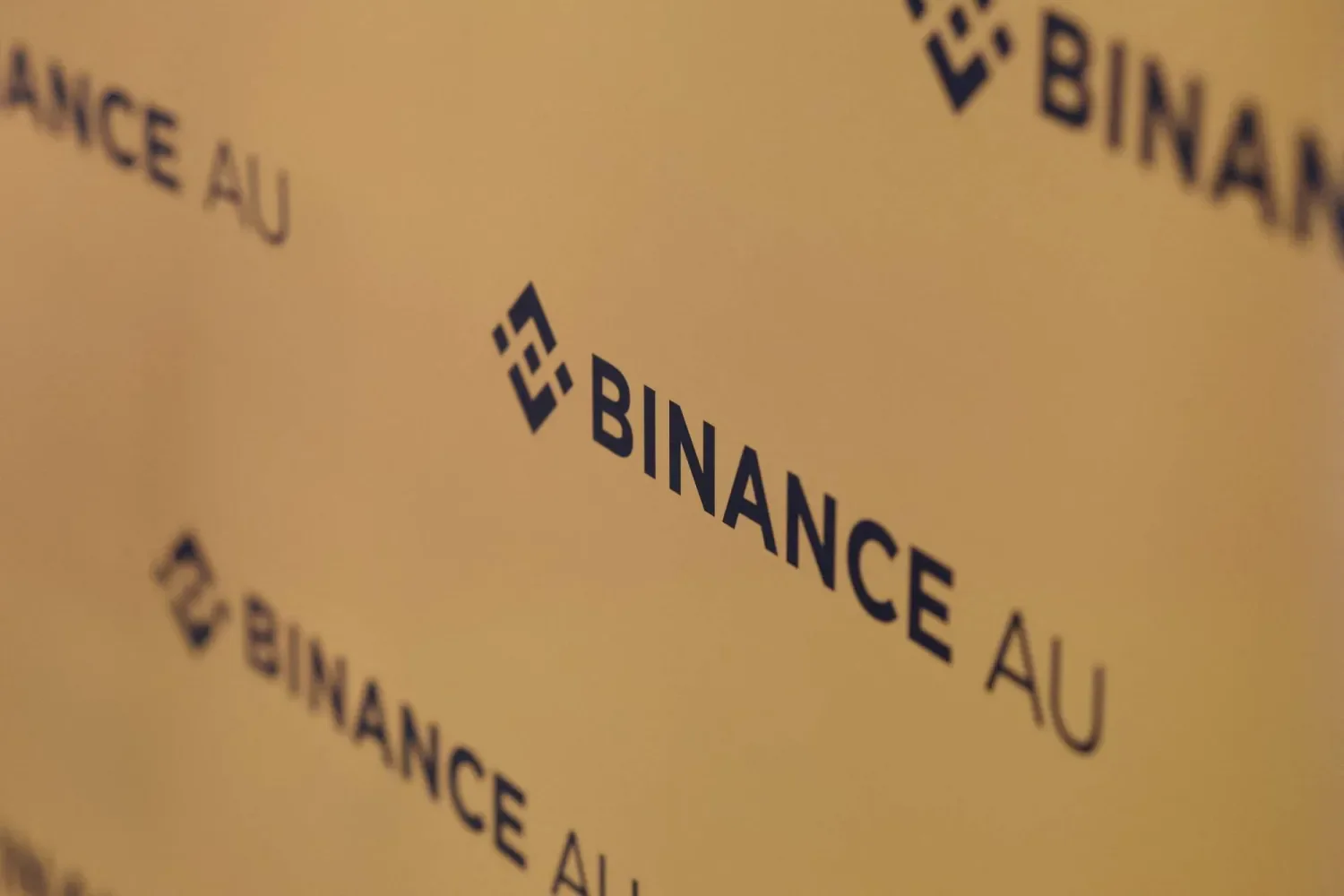Bitcoin’s Slump: Binance CEO Blames Risk Aversion, Investment Shift