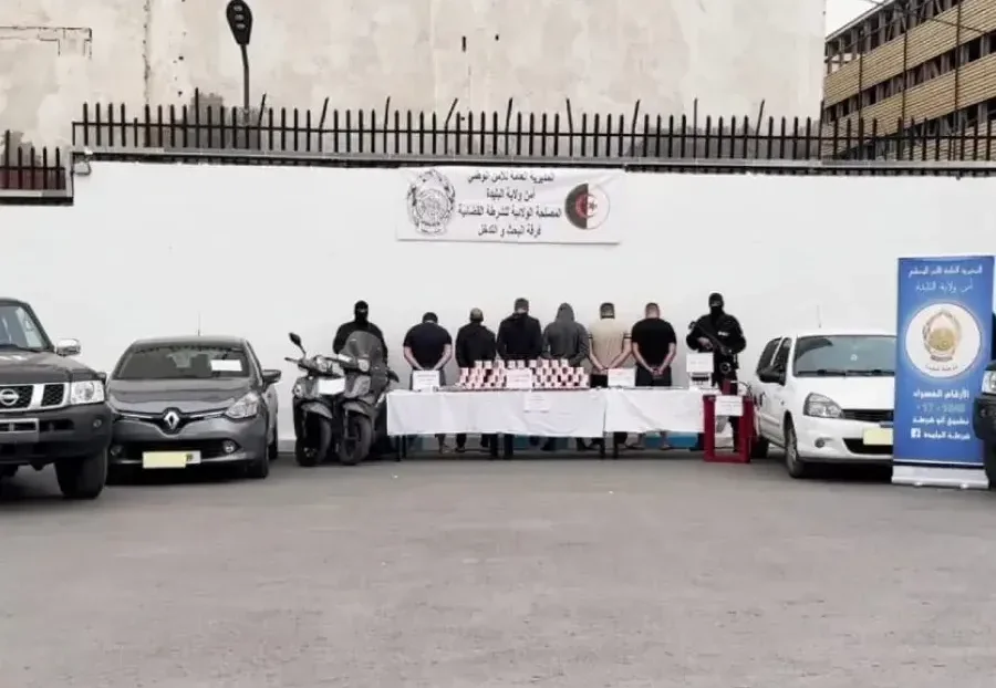 Blida Drug Ring Dismantled, Massive Hallucinogen Cache Seized