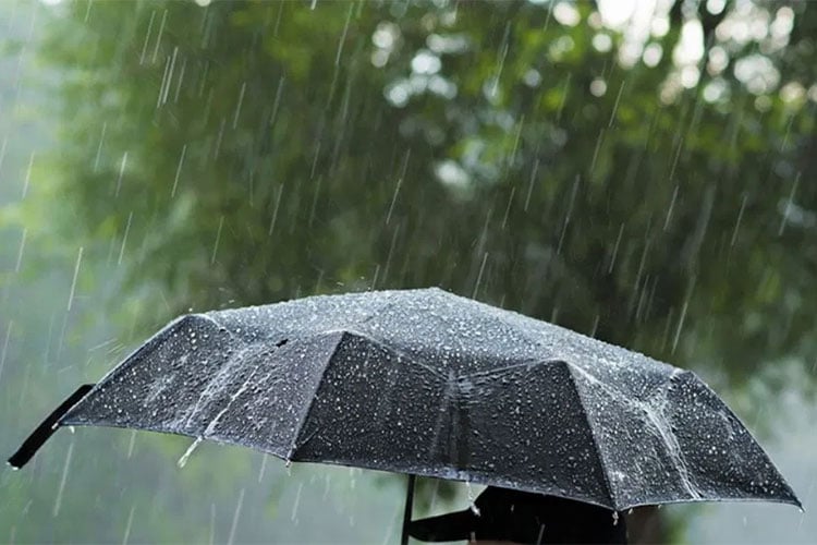 Cold Weather Alert: Rain and Ice Expected Across Northern Algeria