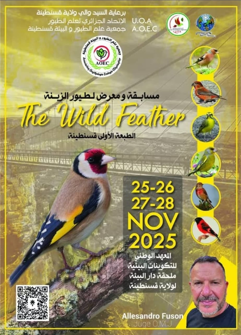 Constantine to Host Inaugural Goldfinch and Wild Bird Competition