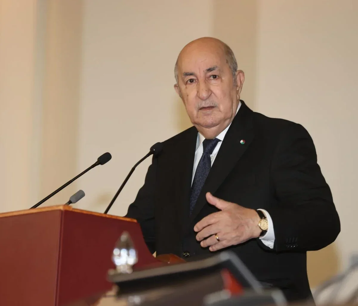 President Tebboune Advocates for Energy Justice, Agricultural Partnerships