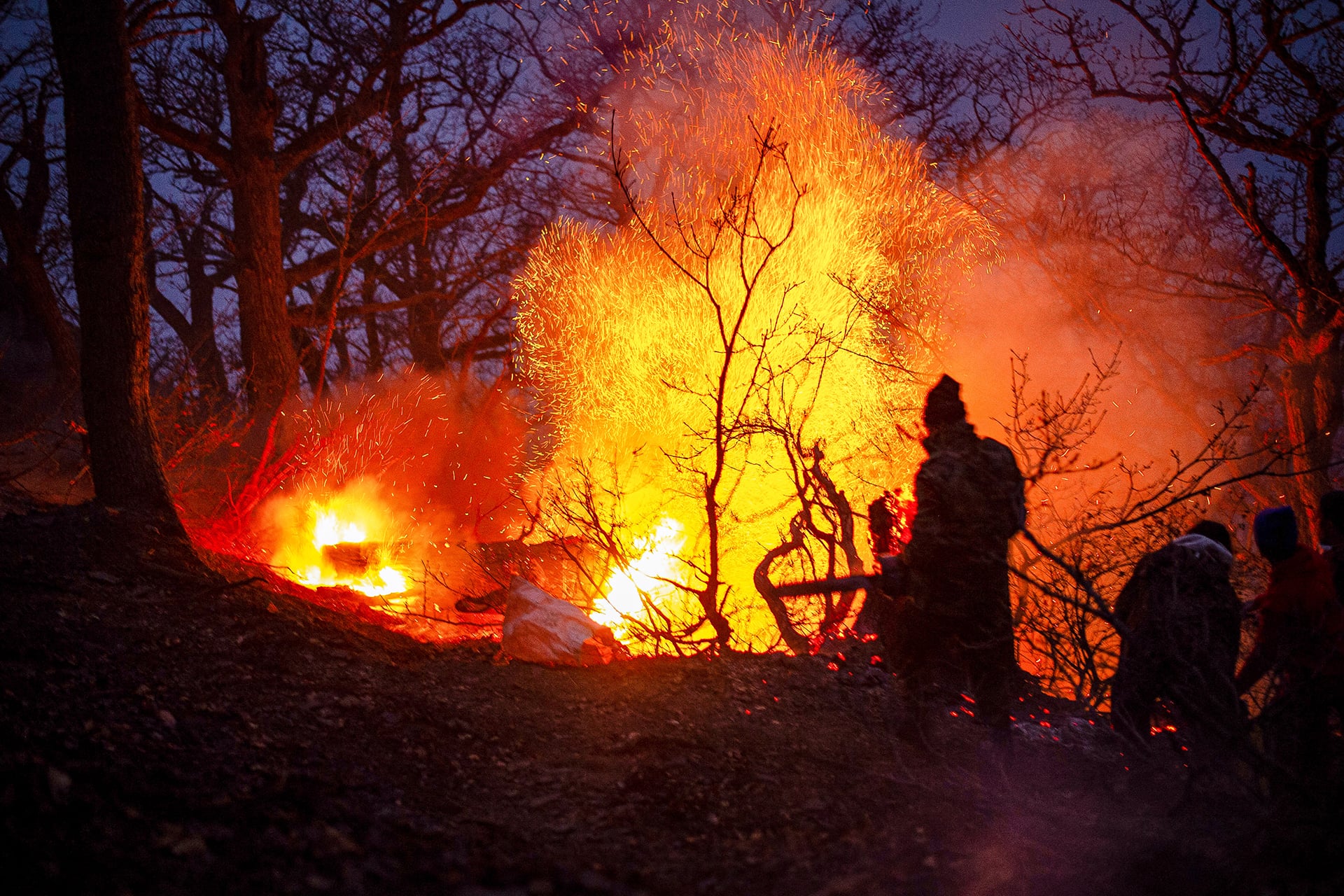 Massive Fire Threatens UNESCO-Listed Iranian Forests