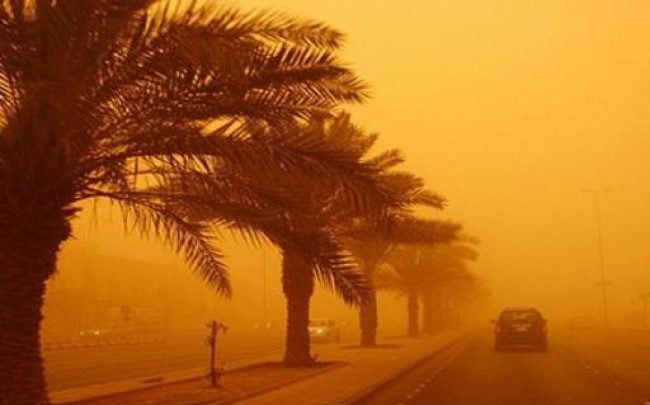 Strong Sand-Laden Winds Sweep Across Southern Algeria
