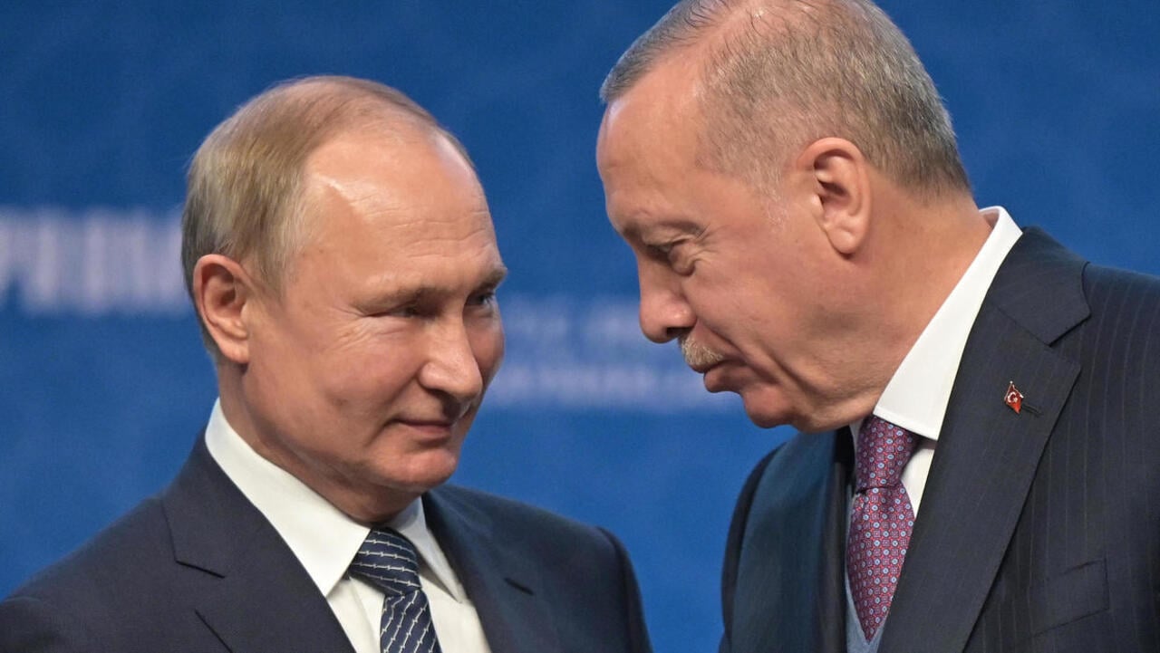 Putin, Erdogan Discuss Ukraine Peace Plan in Phone Call