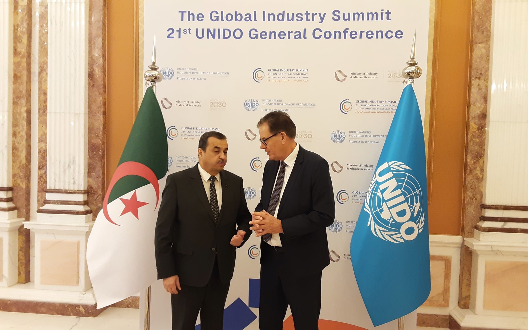 UNIDO Pledges Enhanced Cooperation with Algeria on Energy Transition