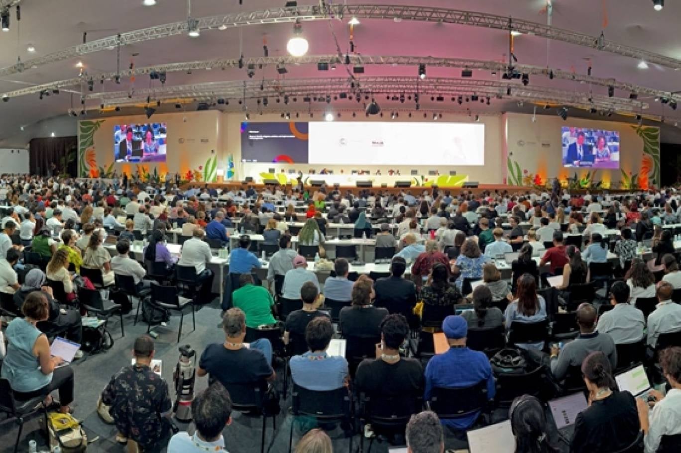 UN Official Slams “Weak Outcomes” of COP30 Climate Summit