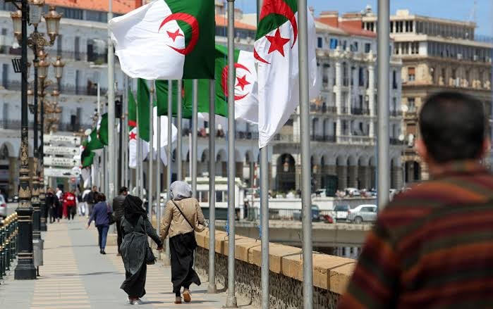 X Feature Exposes Anti-Algeria ‘Electronic Flies’
