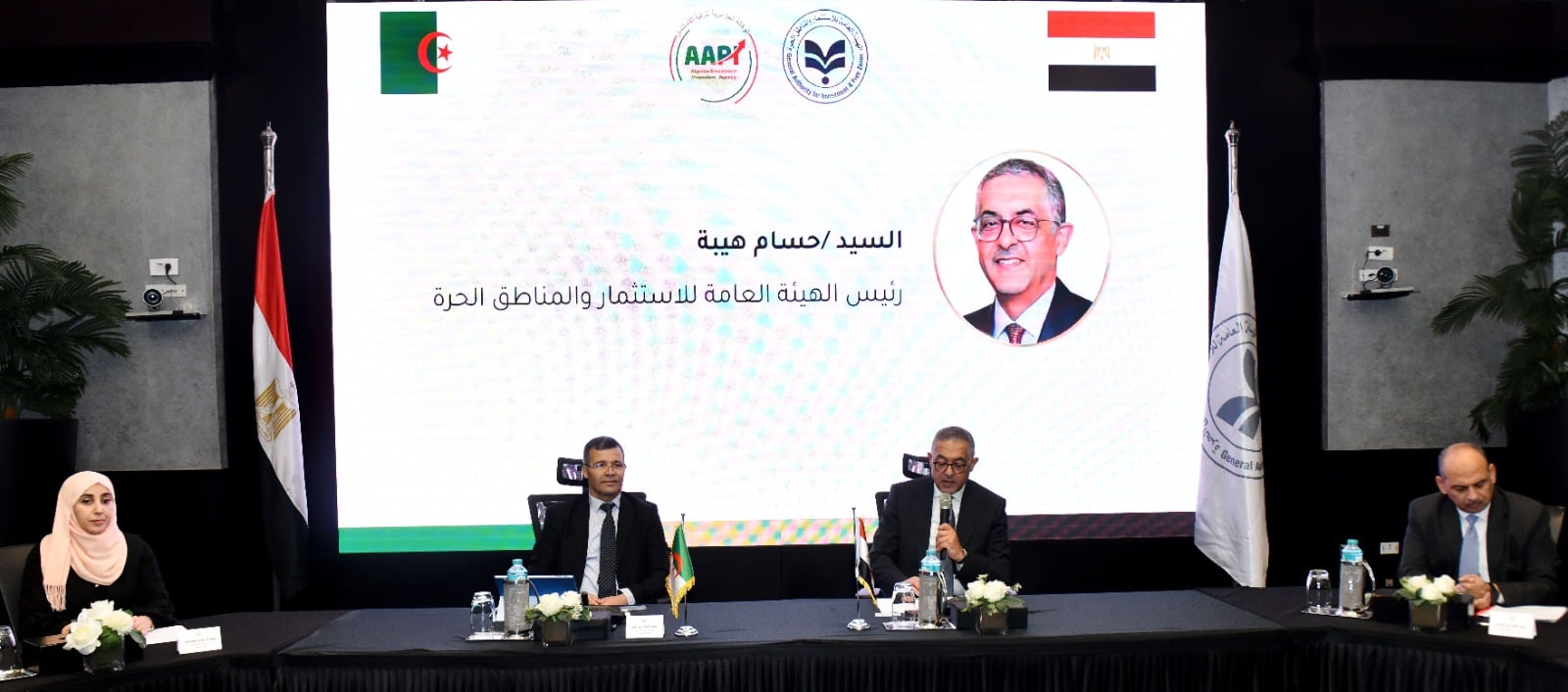 Algeria and Egypt Forge Closer Investment Ties in Cairo Meeting