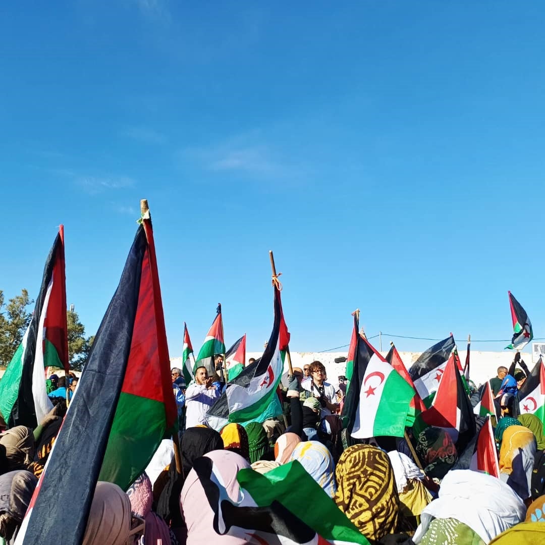 International Delegates Urge Self-Determination for Sahrawi People