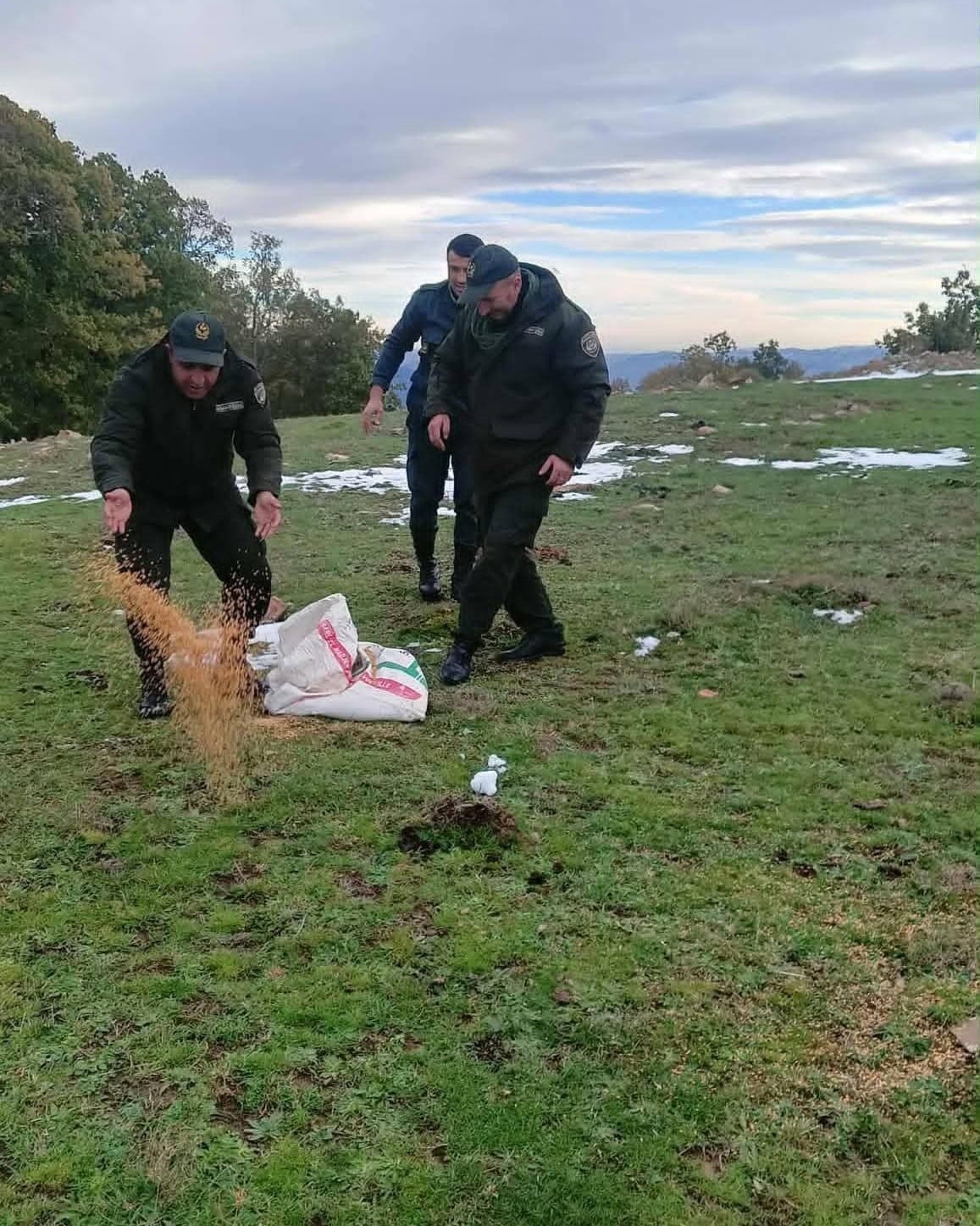 Forestry Agents Aid Birds Amidst Setif Snowfall
