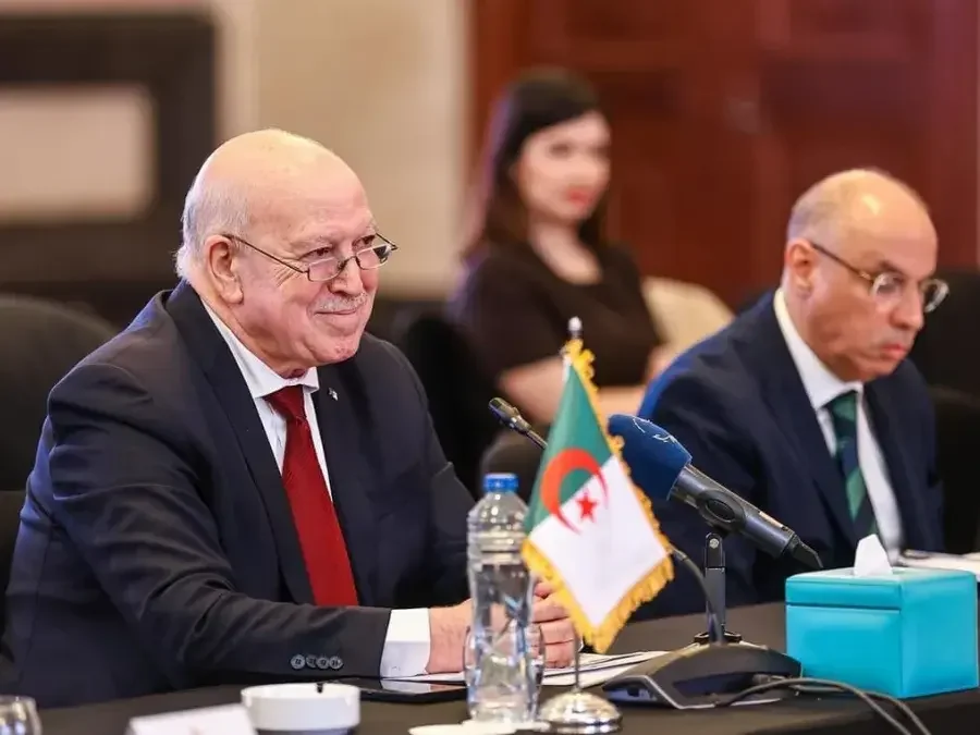 Algeria Embarks on Path to Robust, Diversified Economy