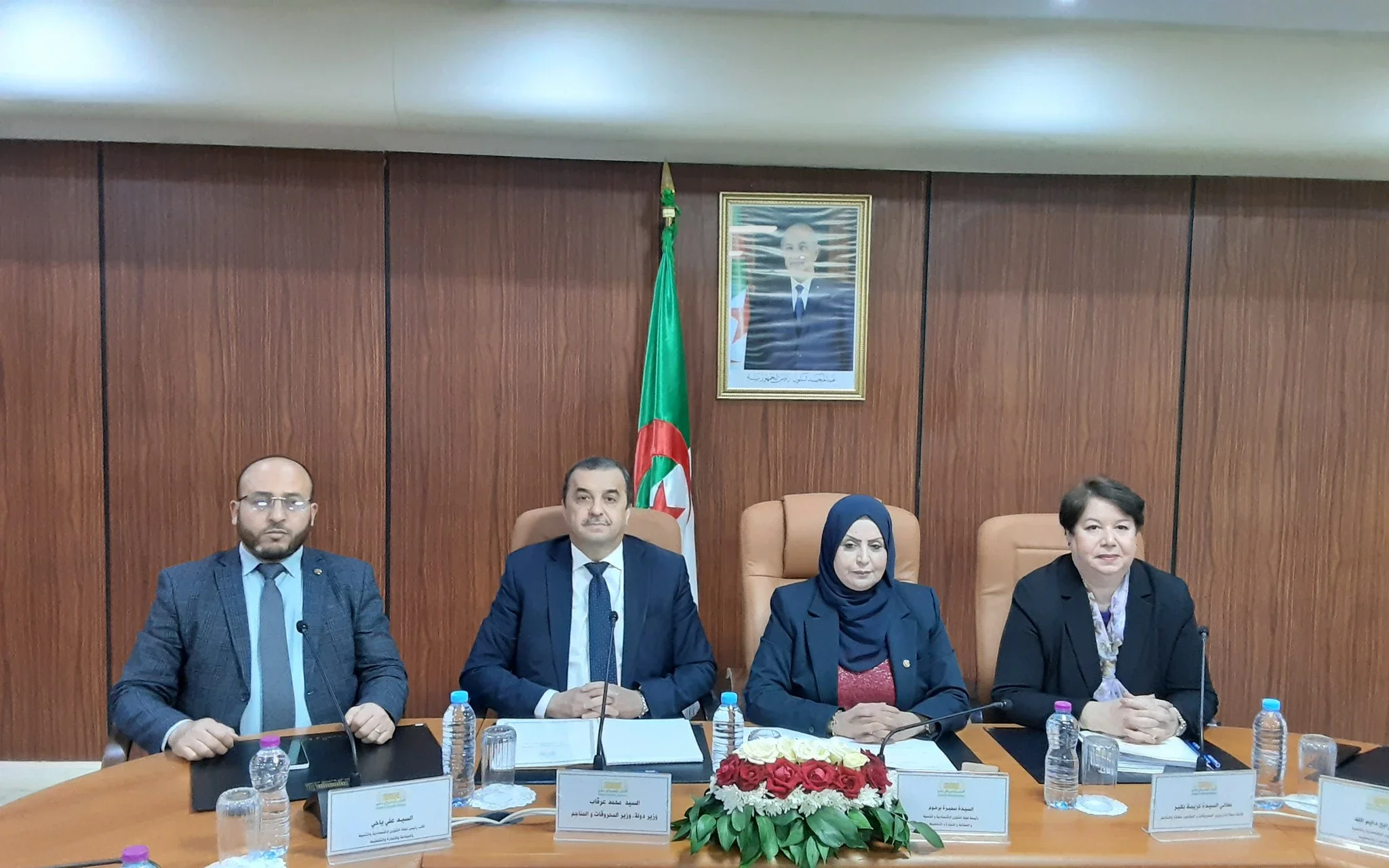 Algeria Seeks International Partnerships to Boost Mining Sector