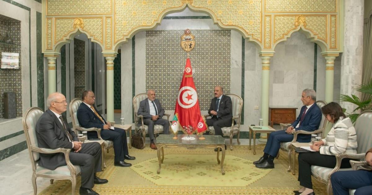 Tunisian FM Receives Algerian Parliamentary Friendship Delegation