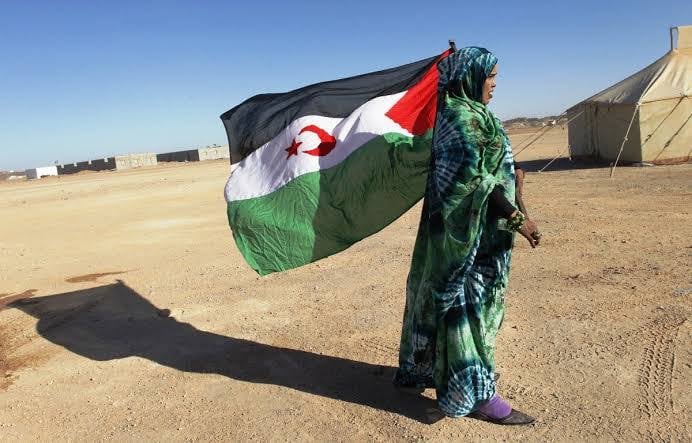 ECOCO’s 49th Conference Opens in Paris, Focus on Western Sahara