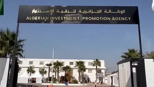 Investment Opportunities Unveiled in Constantine Province