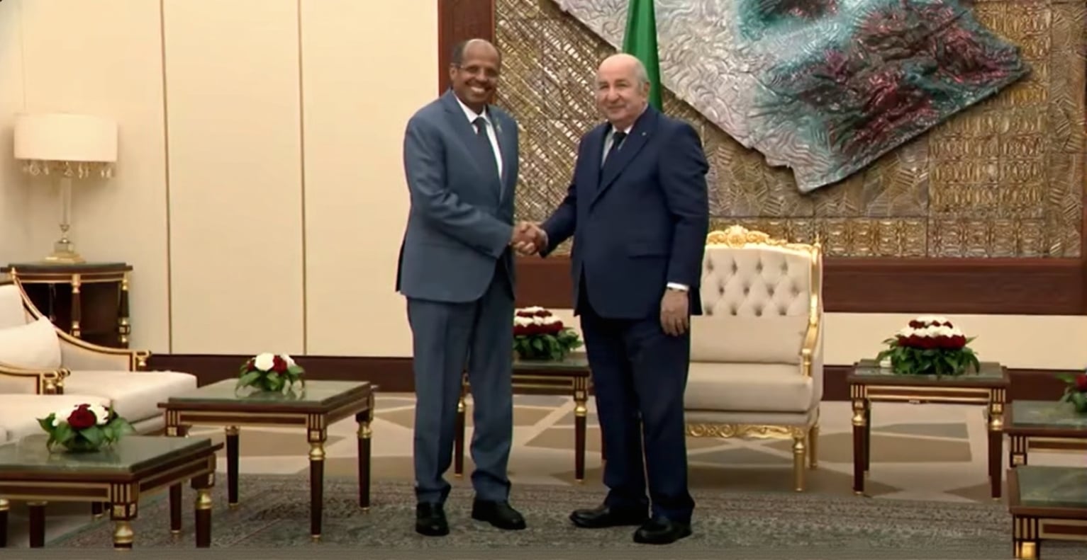 President Tebboune Meets African Union Commission Chairperson