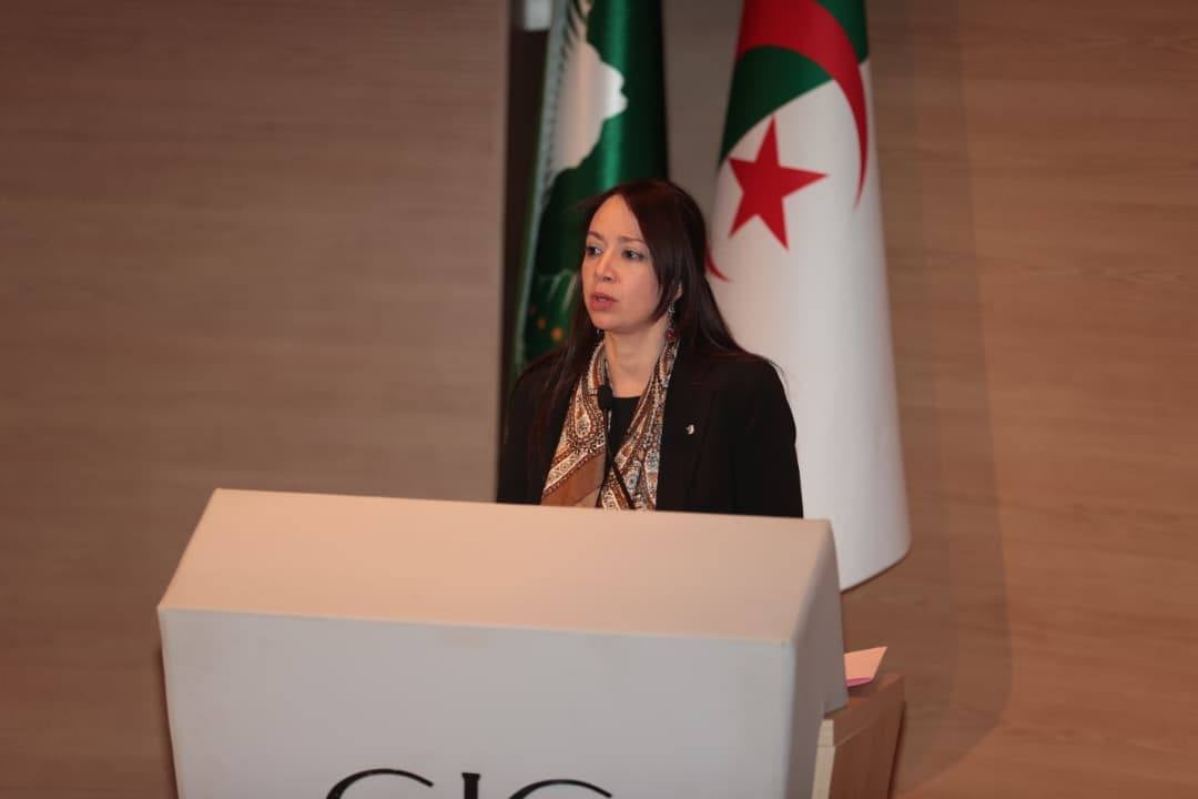 Algeria Calls for Proactive Approach to Colonial Crimes in Africa