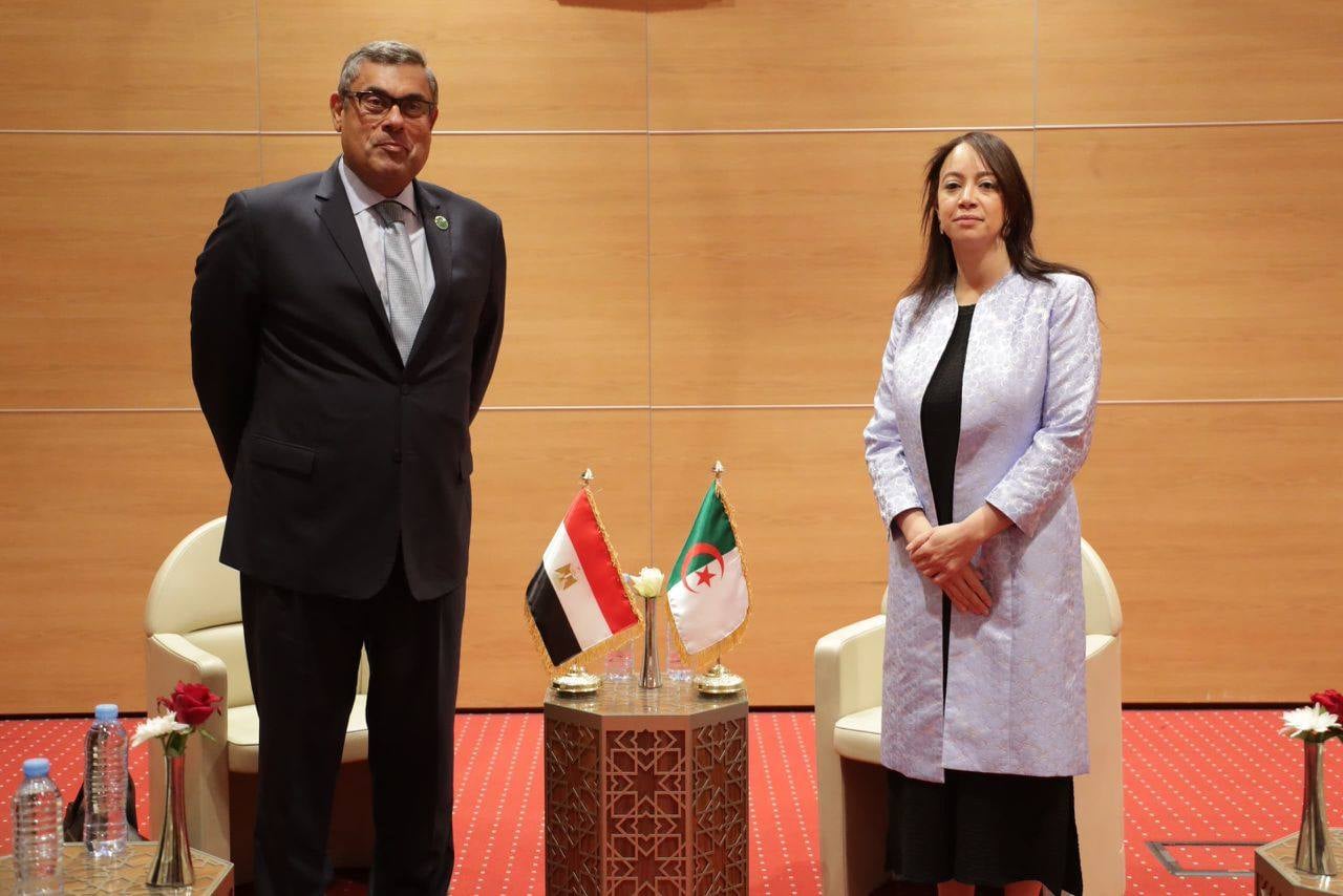 Algeria, Egypt Strengthen Coordination on African Crises