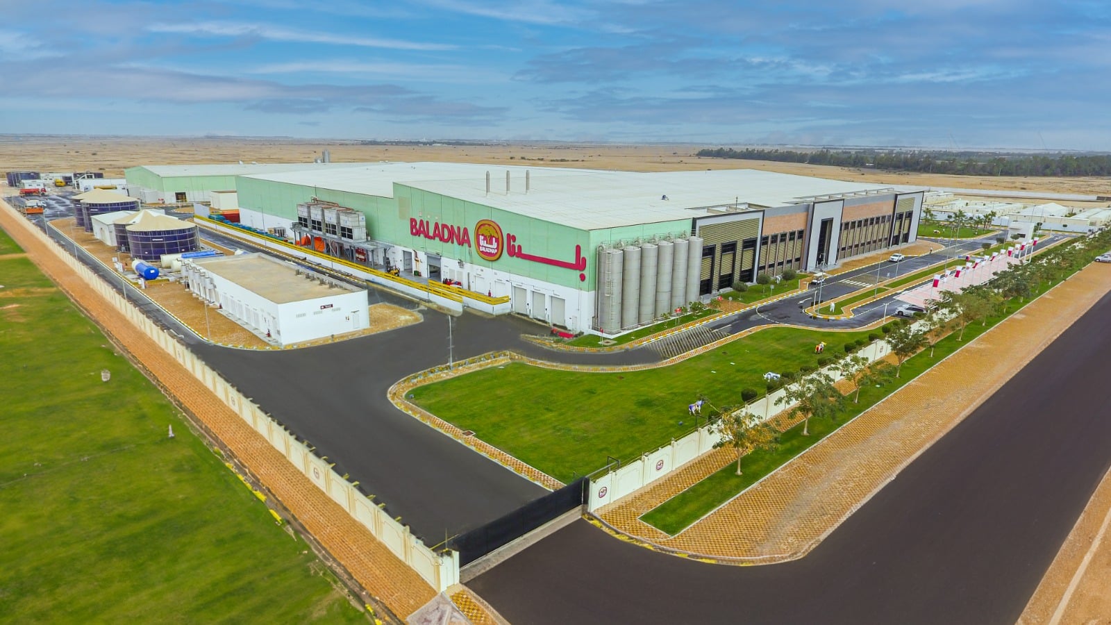 Algeria Secures Landmark Dairy Project, Outpacing Spain and Morocco