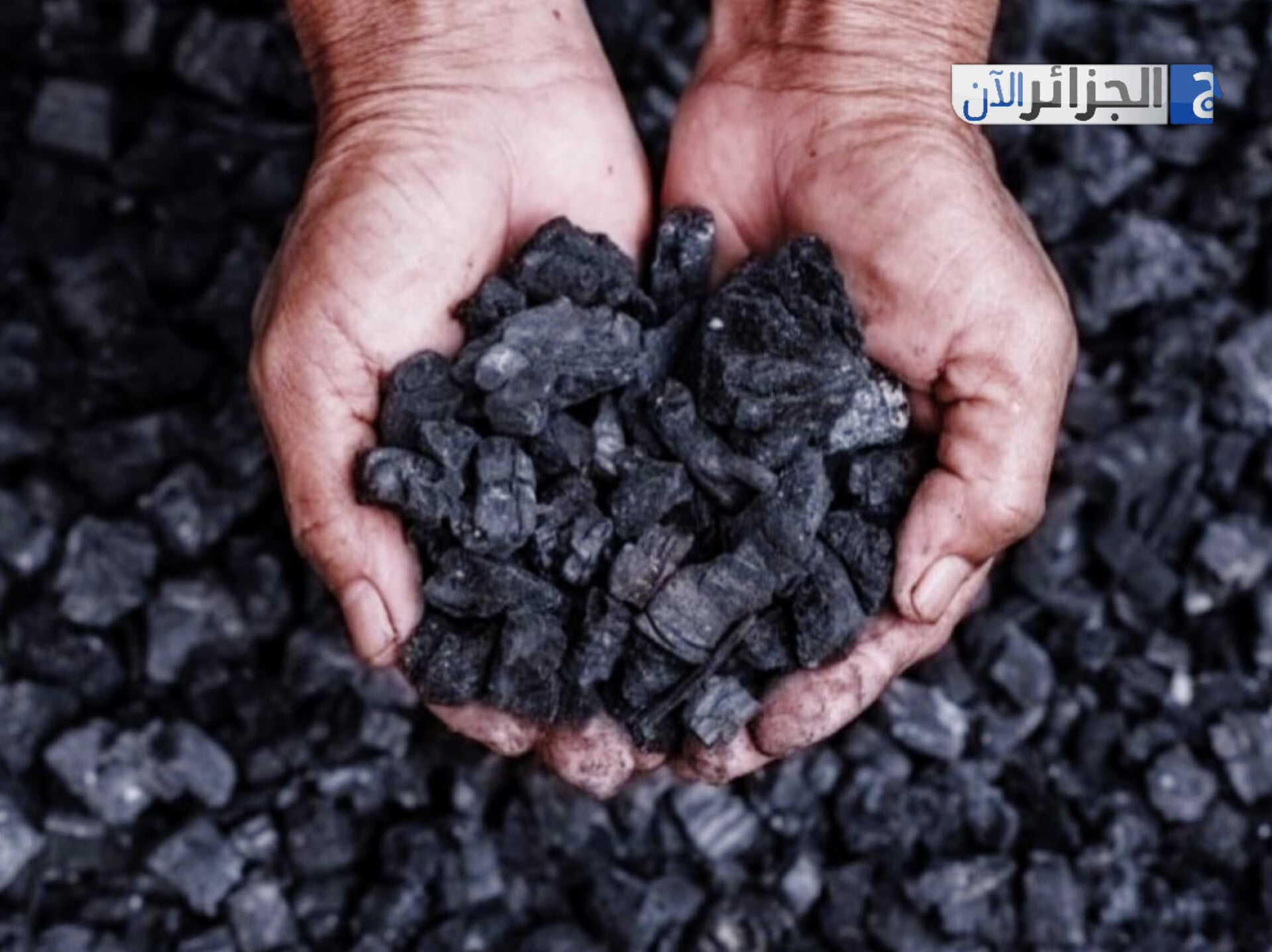 Algeria Ranks High in Charcoal Production Across Arab and African Nations