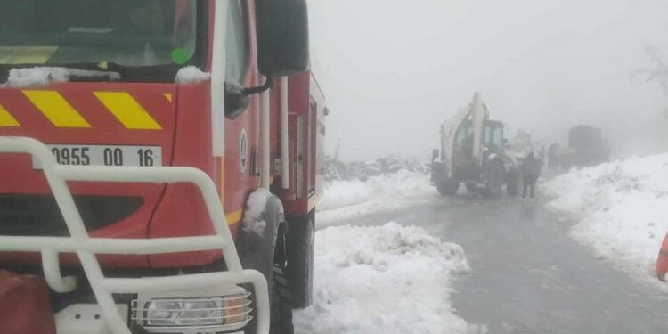 Severe Weather Triggers Emergency Response Across Algeria